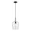 Luminaire suspendu en pot 1 lumière Vandeveer-493648724