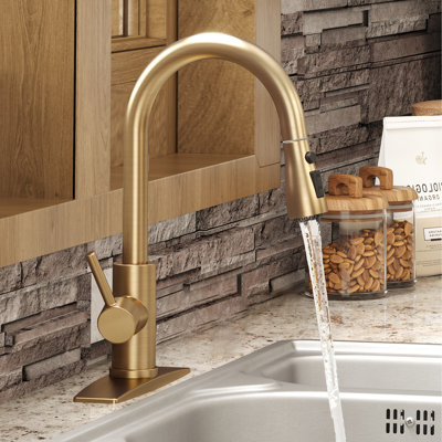 Pull Down Single Handle Kitchen Faucet with Accessories