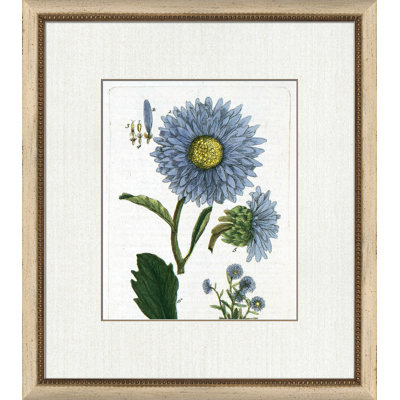 Botanical La Flore IV Painting