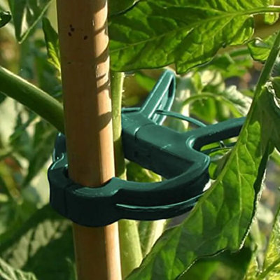 Plant Support