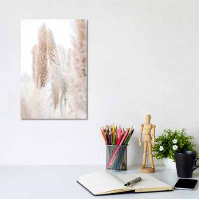 Pampas Reed Madeira by Monika Strigel - Wrapped Canvas Print