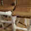 Photos des clients 2 de 2