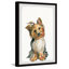 " Little Adorable Friend " by Parvez Taj