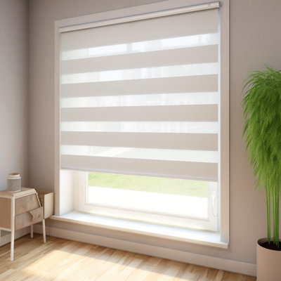Semi Sheer Pleated Blind