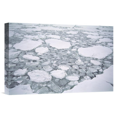 " Sea Ice, Pancake Ice Forming Between Older Floes, Cape Adare, Antarctica "