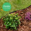 5 cm H x 2000 cm W Plastic Lawn Edging Fencing