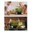 FXSGER Gardening Tools