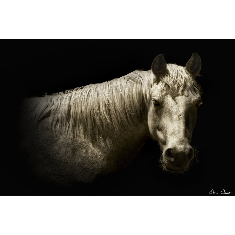 Portrait de cheval VI, H 8 po x l 12 po x P 1,25 po