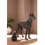 Great Dane, Standing , Bronze
