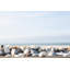 By the Sea-324375197-324375196-324375203