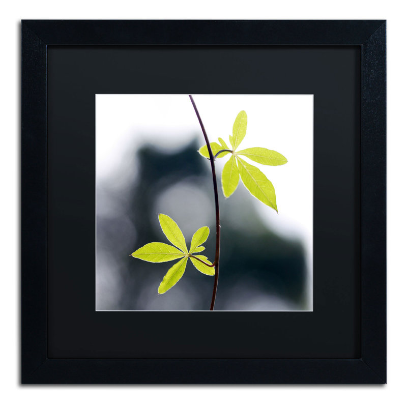 « two of us » par "beata czyzowska young, reproduction de photo encadrée, H 16 po x l 16 po x P 0,5 po, Noir