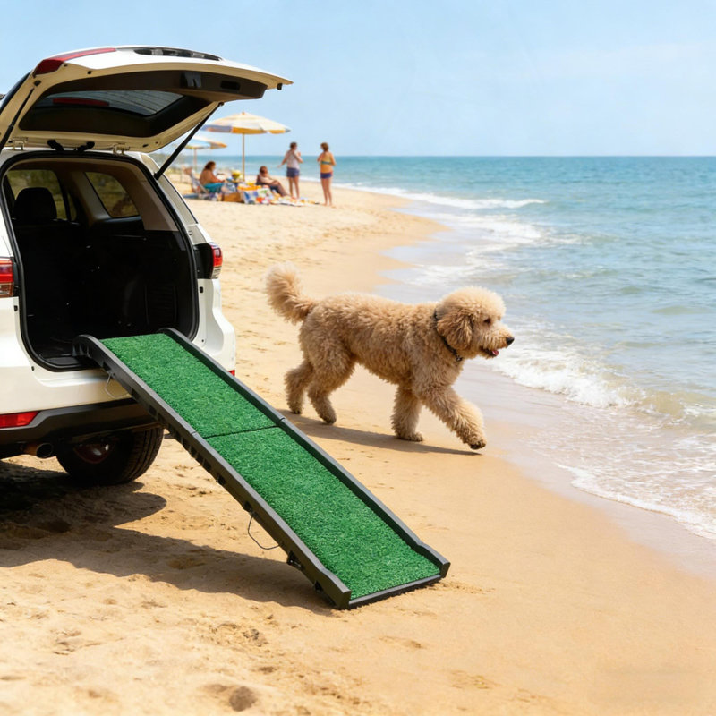 Rampe pliante pour animal de compagnie, Noir/vert