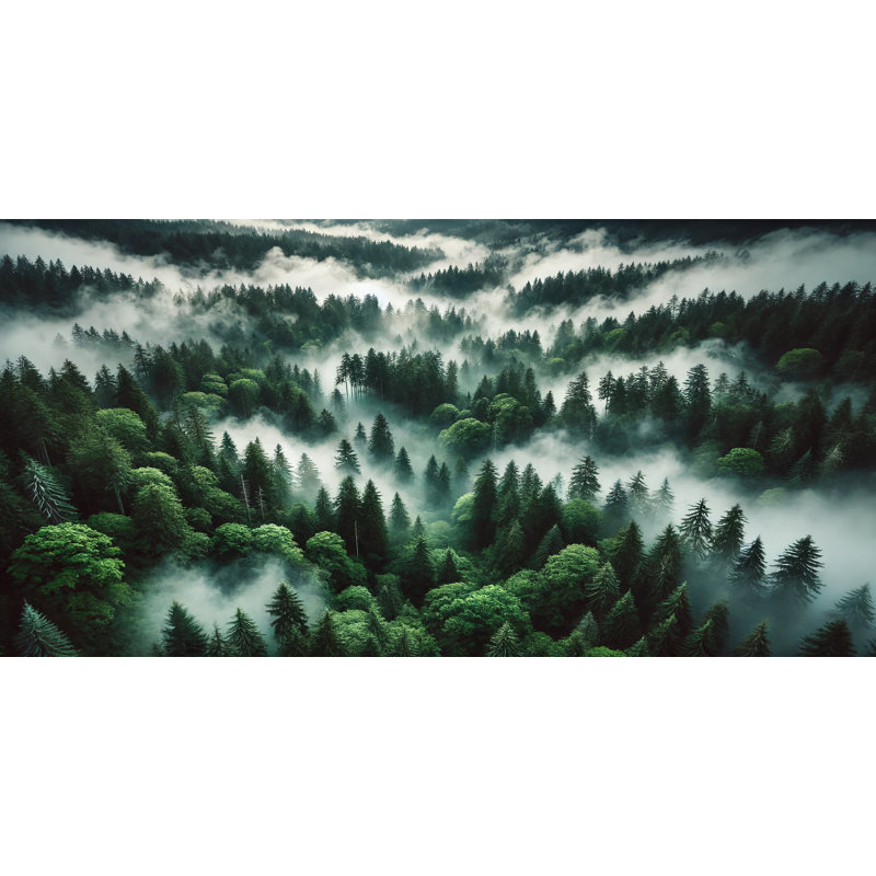 Art mural sur toile Misty Forest, H 20 po x l 40 po