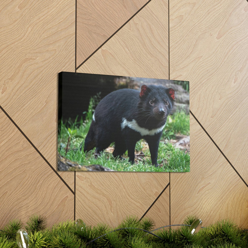 Wall Art on Canvas, 11cm H x 14cm W