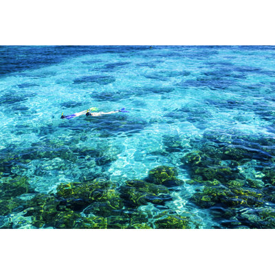 Great Barrier Reef - Wrapped Canvas Print