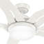 56" Correne 5 - Blade LED Standard Ceiling Fan with Remote Control and Light Kit Included-341660577