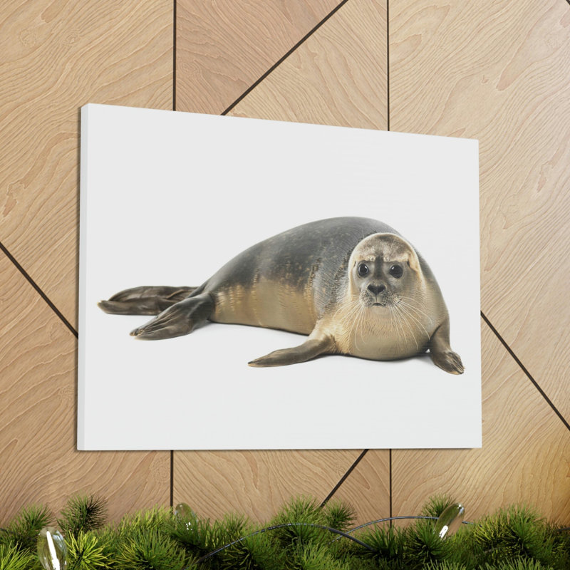 No Frame Print on Canvas