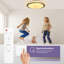 Britza Flush Mount