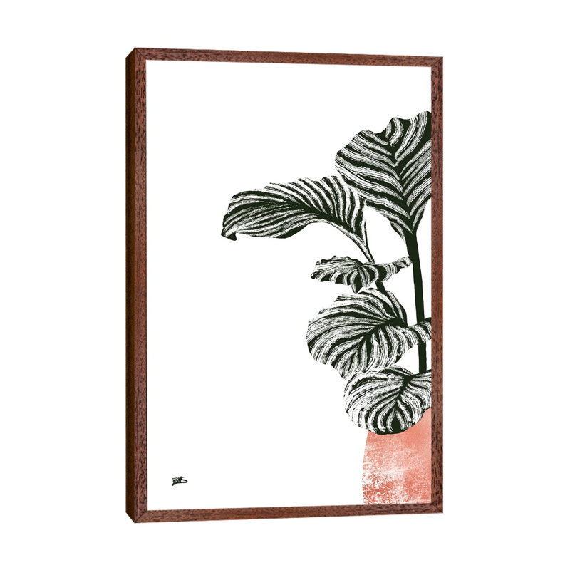 Calas II by Bria Nicole - Print on Canvas, Classic Brown Wood Framed Canvas, 101.6 cm H x 66.04 cm W