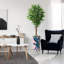 75 plantes-97992054