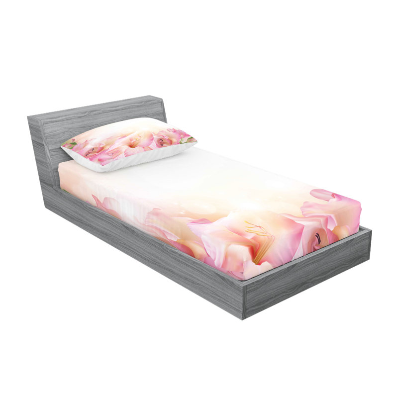 Drap-housse et coussin décoratif Ambesonne, Ensemble de draps-housses pour lit simple + 2 taie