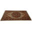 Oriental Area Rug in Orange