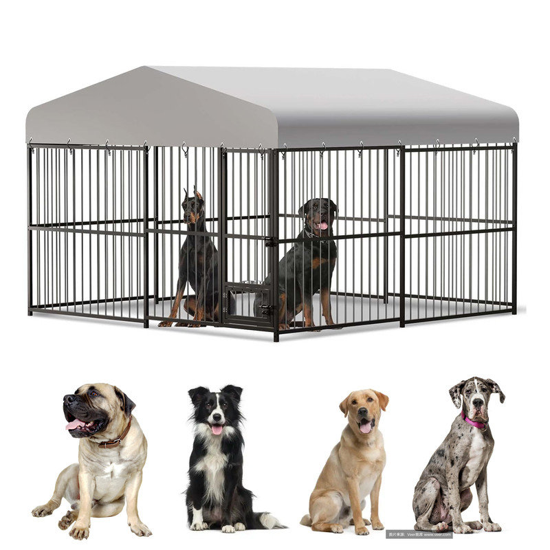 Dog Cage