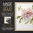 One Pink Bloom II Framed Print - Solid Wood