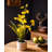 Dahlia Arrangement-34611994