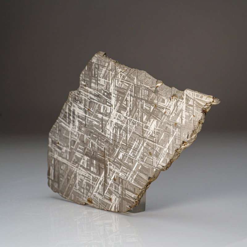 Genuine Muonionalusta Meteorite Slice 5.5"W (0.73 Lbs)