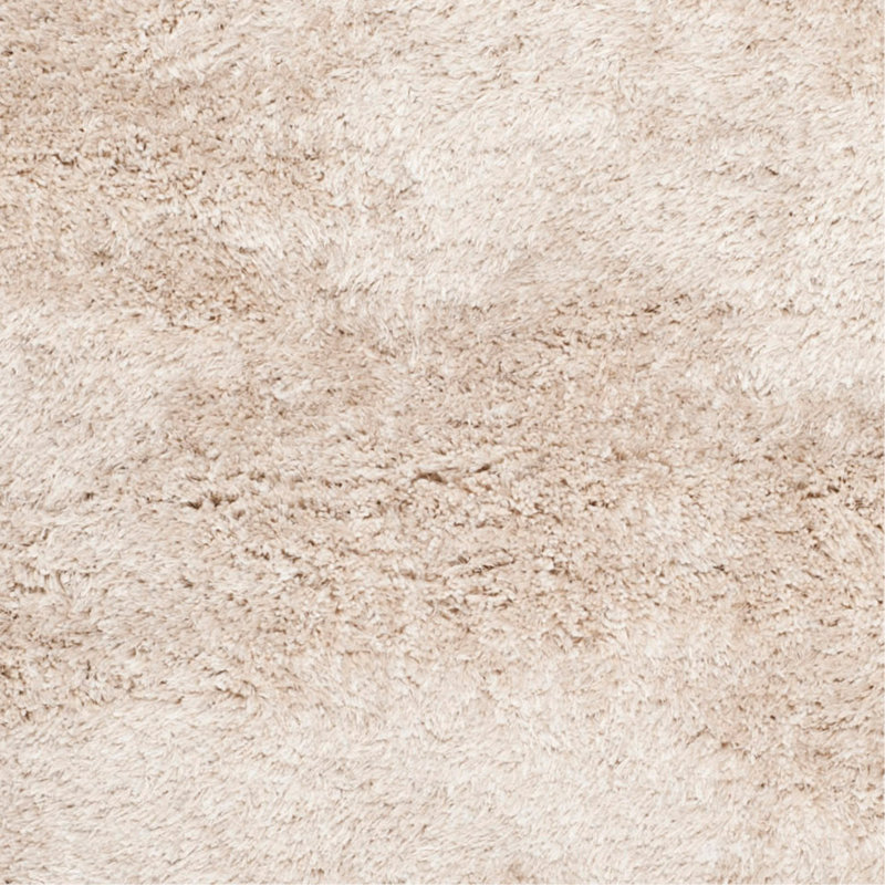 Tapis à poil long champagne fabriqué à la main Delane, Rectangle 5 pi x 8 pi