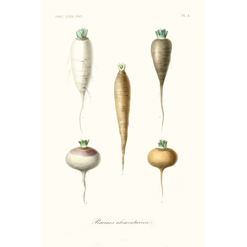 Fruit & Vegetable Varieties IX - Wrapped Canvas Print, 46cm H x 30cm W x 3.8cm D