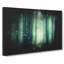 Green Misty Forest - Wrapped Canvas-56644055