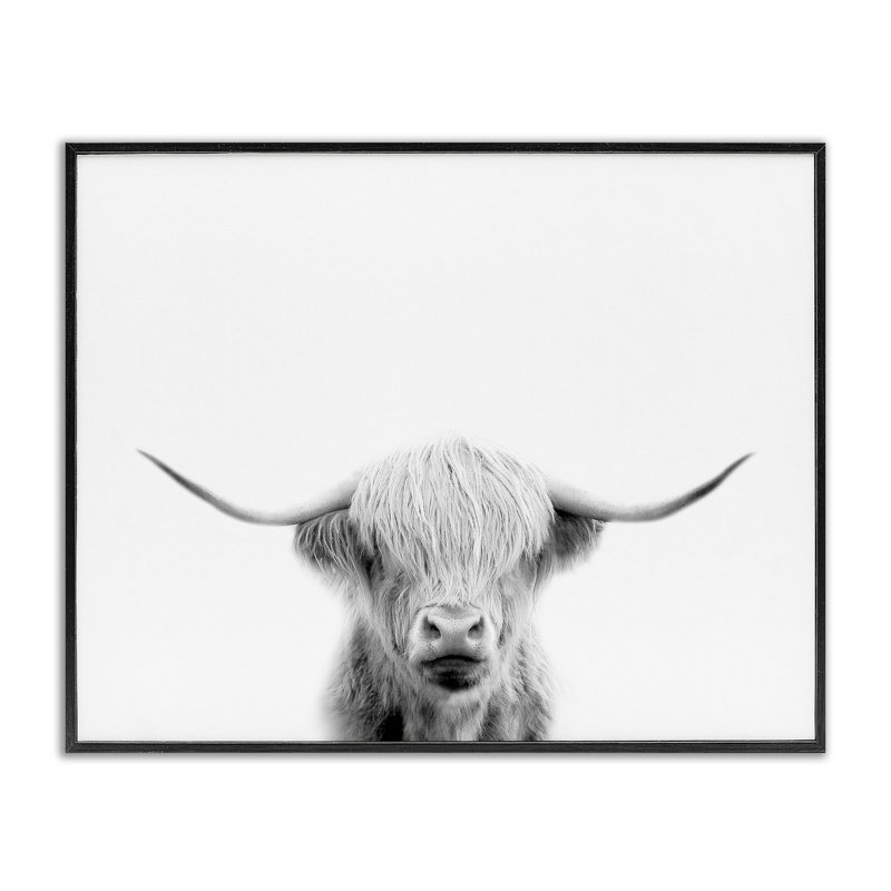 Portrait de vache écossaise, estampe numérique, conception par Leah Straatsma, H 16 po x l 20 po