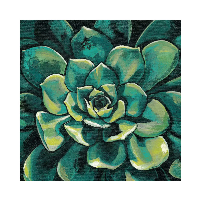 Succulent Bloom I by Megan Meagher - Wrapped Canvas Print, 93.98 cm H x 93.98 cm W x 3.175 cm D
