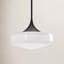 Luminaire suspendu simple à 1 lumière Lincoln-66310915