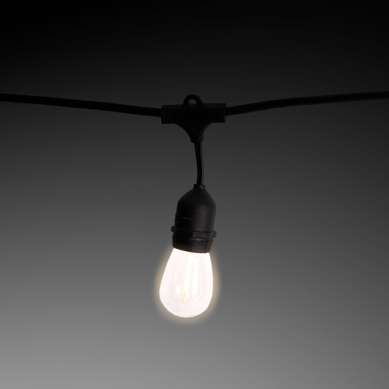 Feliciana Outdoor 12 - Bulb 24'' Plug-in LED Globe String Light