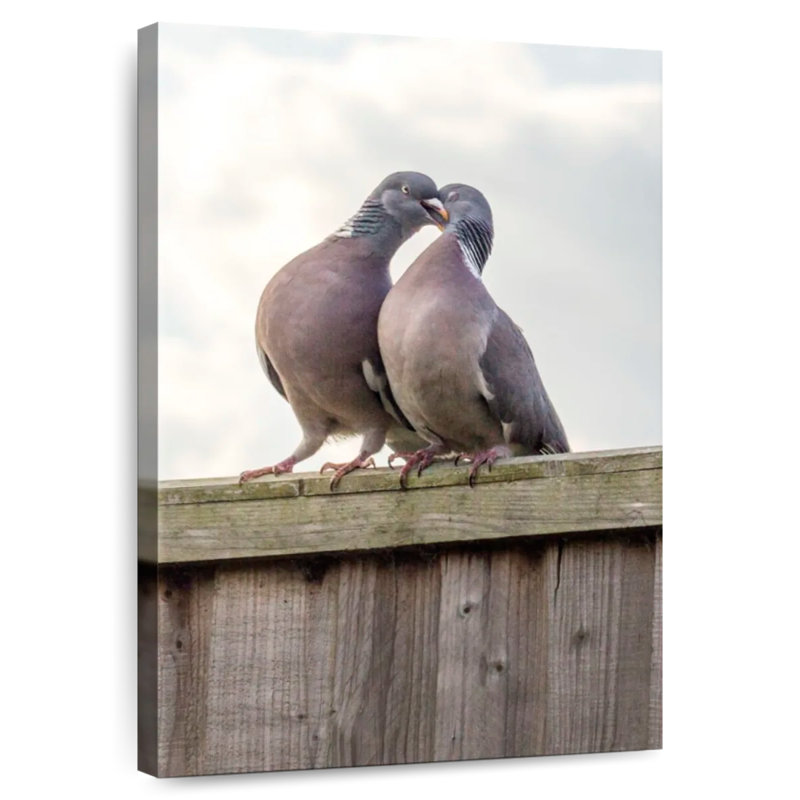 Brampt Pigeon Courtship, 36" H x 24" W