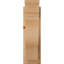 Sapin Douglas Douglas, l 6 po x P 16 po x H 20 po-31641798-114335547