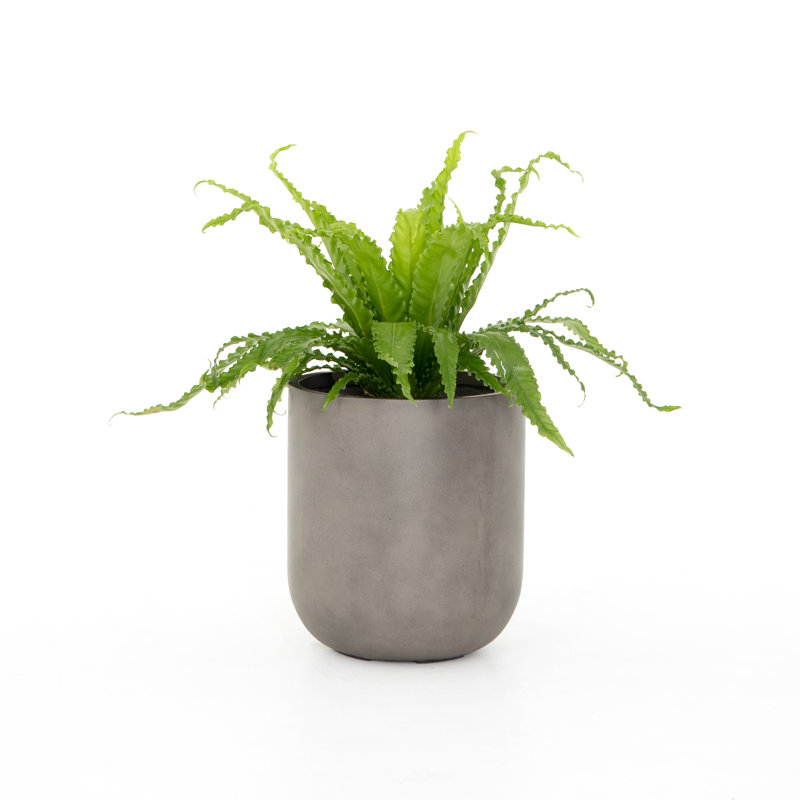 Pot à fleurs en béton Parsegh