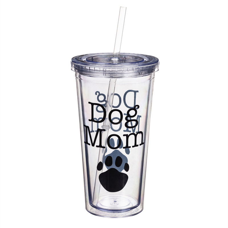 Verre isotherme de voyage 18 oz avec paille