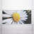 Flower Classroom Fluorescent Light Covers for Ceiling Lights - For 2x4 Fixture - by Octo Lights