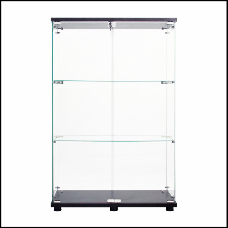 Vitrine à deux portes avec 3 tablettes, solution de rangement durable et élégante pour la maison et le bureau, Noir