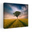 Golden Field Solitary Tree Dramatic Peaceful Serene Landscape Nature Wall Art Print 1 Piece Wrapped Canvas Wall Art-103335685