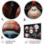 Popart Monkeys At The North Pole - Monkey Animal Metal Wall Art-720969227