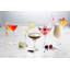Entertain 550ml Gin Balloon Glass Set