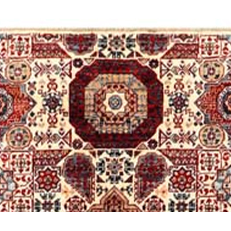 Aryana Wool Oriental Area Rug