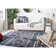 Hankinson Performance Southwestern Rug