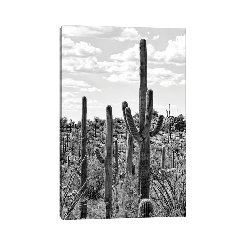 Série noire Arizona - Cactus Tucson-PHD1505, H 40 po x l 26 po x P 1,5 po
