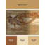 Tapis oriental classique brun / beige lavable à la machine Ulster Thoth-977307463